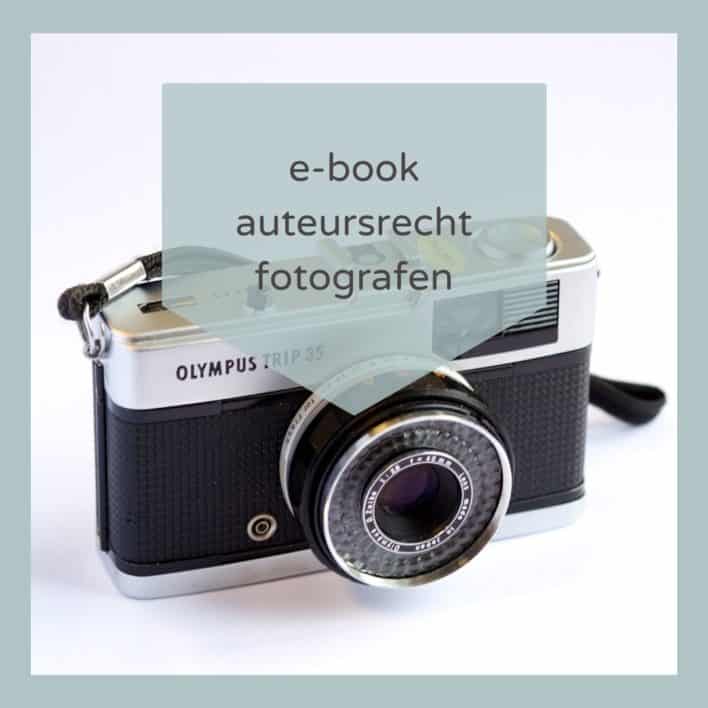 Auteursrecht voor Fotografen (e-book)