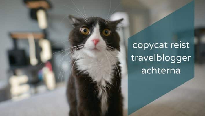 auteursrecht copycat instagram