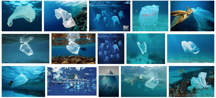 Screen Shot Google Plastic Bag Ocean