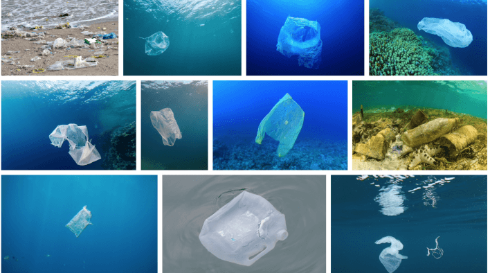 Screenshot Shutterstock Plastic Bag Ocean